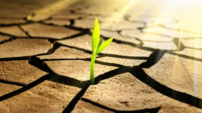 Illustration strengths - Image 1