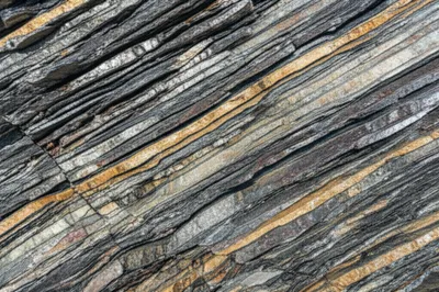 Illustration schistose - Image 1