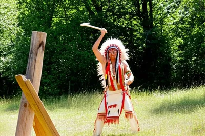 Illustration tomahawked