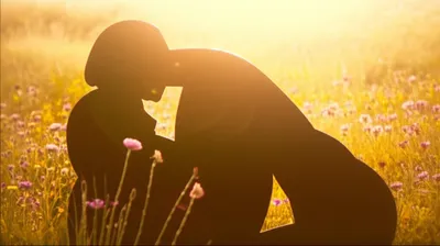 Illustration laying - Image 1