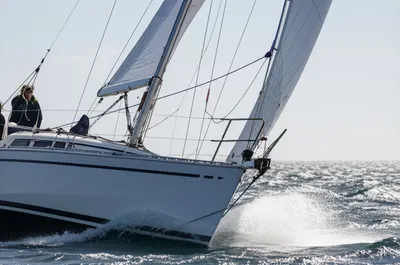 Illustration luff - Image 1