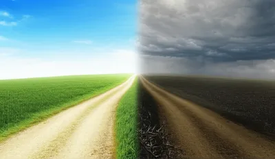 Illustration couplets - Image 1