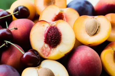 Illustration drupes - Image 1