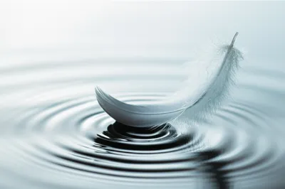 Illustration mild - Image 1