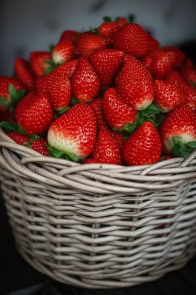 Illustration frails - Image 1