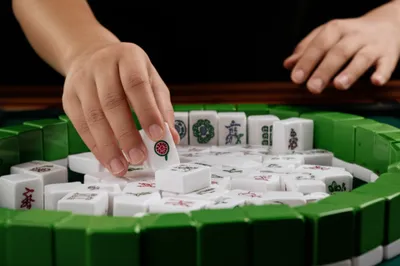 Illustration chow - Image 1