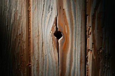 Illustration beatings - Image 1