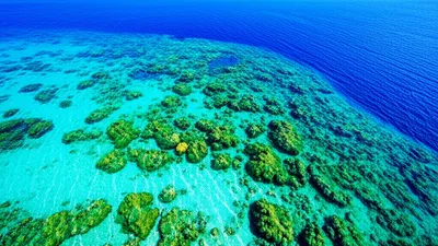 Illustration aqua - Image 1