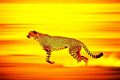 Illustration randoms - Image 1