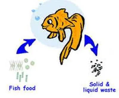 Illustration excrete - Image 2