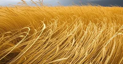 Illustration thrashing - Image 1