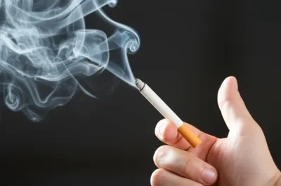 Illustration tobacco - Image 1