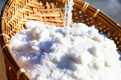 Illustration burrows - Image 1