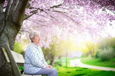 Illustration bides - Image 1