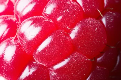 Illustration raspberry - Image 1