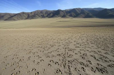 Illustration ranging - Image 1