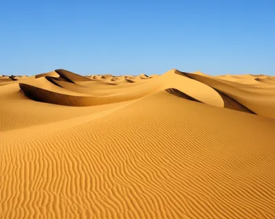 Illustration unvarying - Image 1