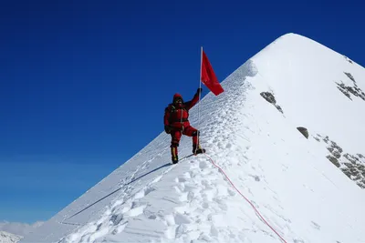 Illustration culminated - Image 2