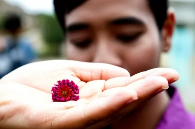 Illustration weighing - Image 1