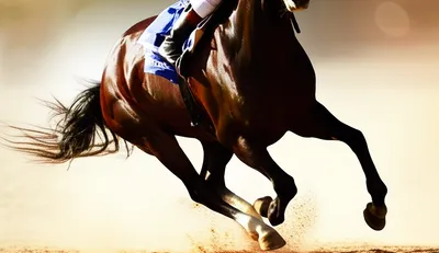 Illustration hocked - Image 1