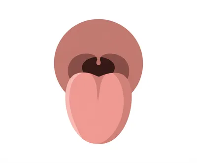 Illustration front - Image 1