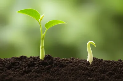 Illustration accelerate - Image 1