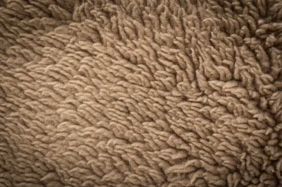 Illustration freeze - Image 1