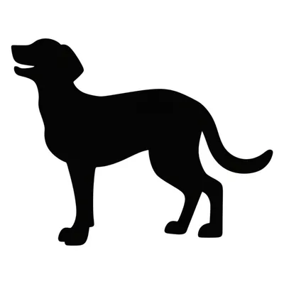 Illustration presenting - Image 1