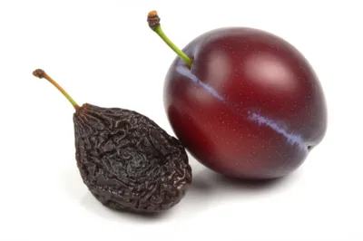 Illustration prunes - Image 1