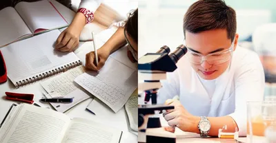 Illustration twofold - Image 1