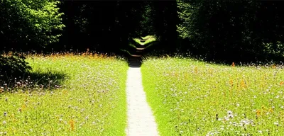 Hình ảnh minh họa allows - Ảnh 1