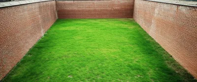 Illustration bordering