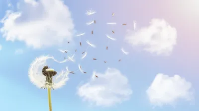 Illustration airy - Image 1