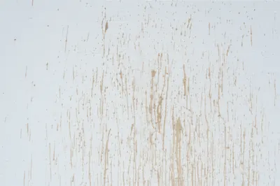 Illustration bespatter - Image 1