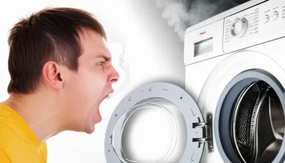 Illustration holler - Image 1