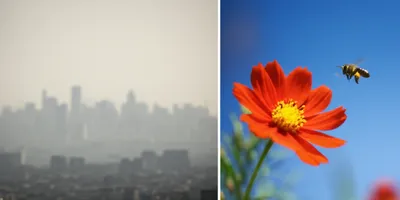 Illustration nearer - Image 2