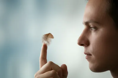 Illustration poised - Image 1