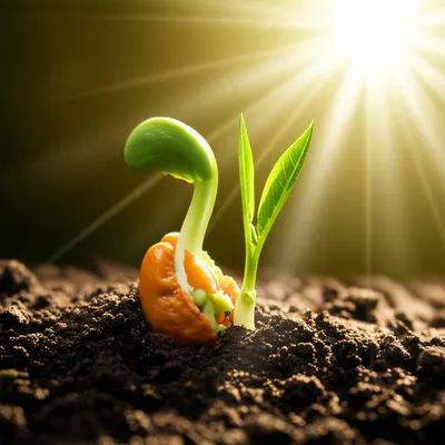 Illustration quickened - Image 1