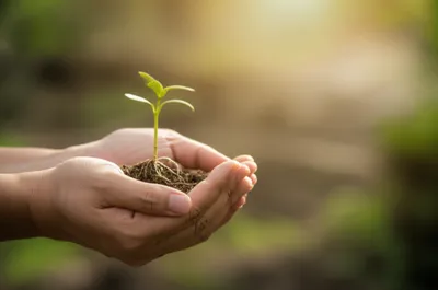 Illustration nurture - Image 1