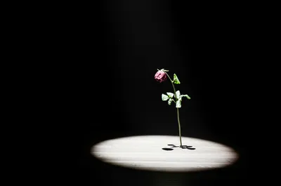 Illustration pointedly