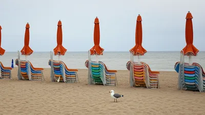 Illustration offseason - Image 2