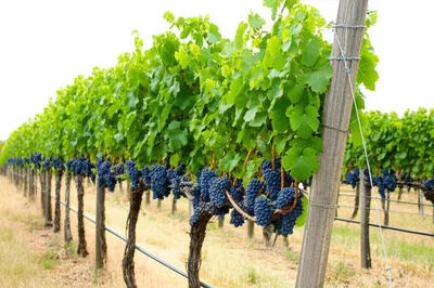 Illustration blocks - Image 1