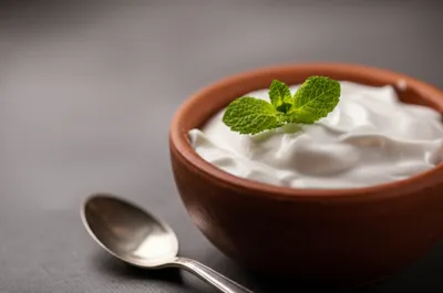 Illustration dahi - Image 1