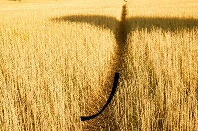 Illustration hay - Image 1