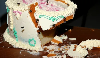 Illustration spoilt - Image 1