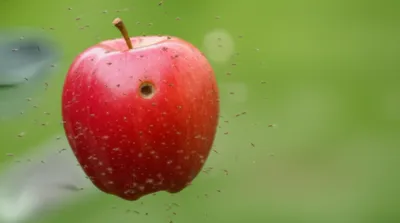 Illustration diseased