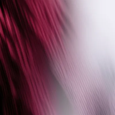 Illustration bury - Image 1