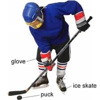 Illustration puck - Image 2