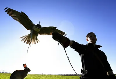 Illustration slip - Image 1