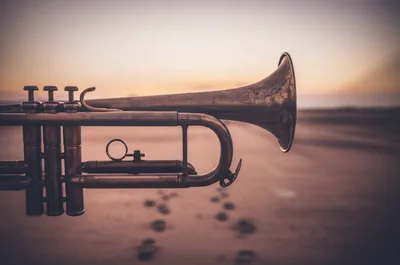 Illustration stingers - Image 1